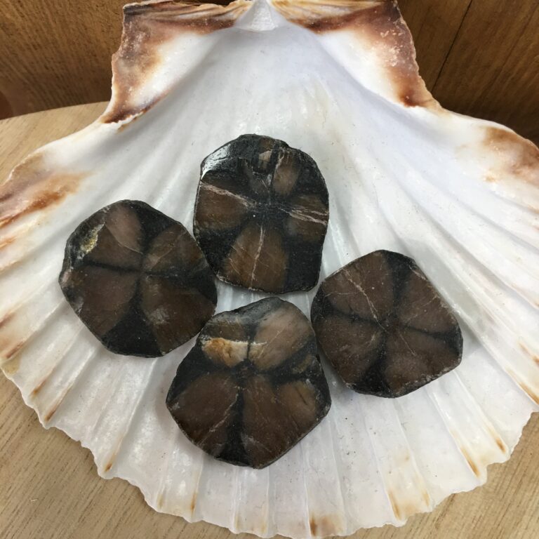 pierres naturelles lithothérapie