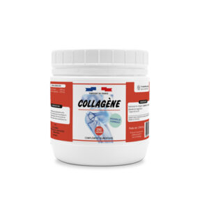 Collagène marin 290 comprimés